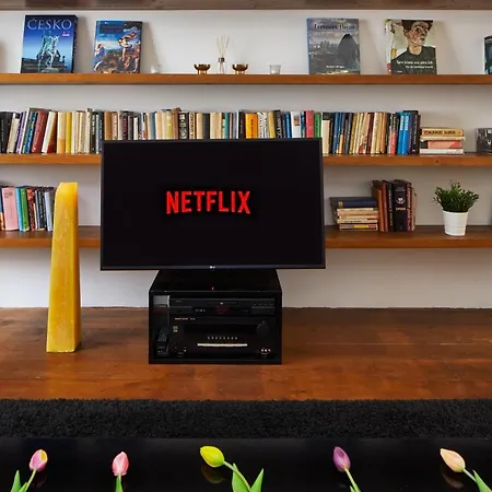 Days - 1bdr W Netflix - Zizkov Tower Praha
